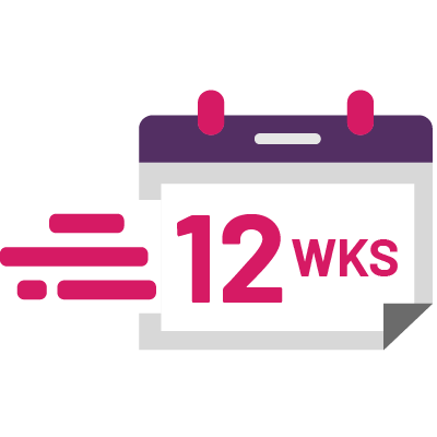 12 weeks